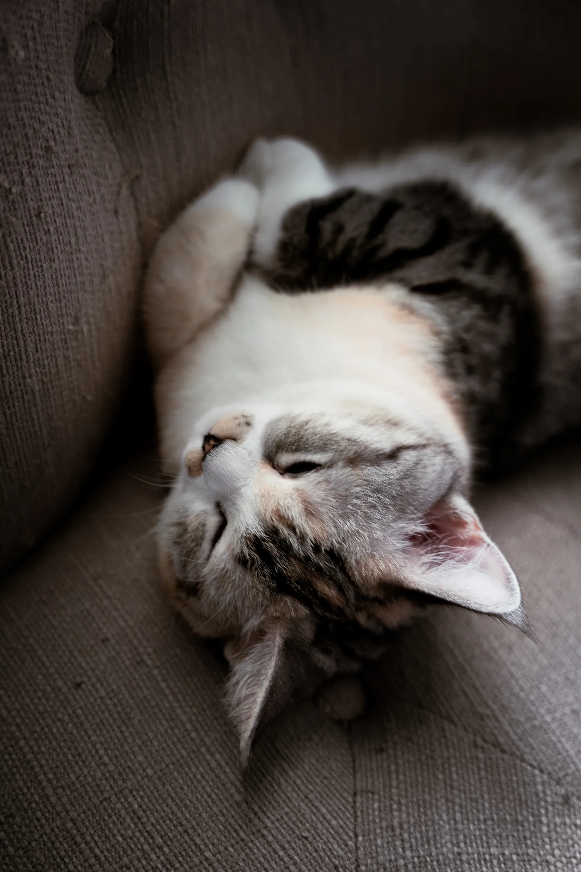 DSC03023-Enhanced-NR